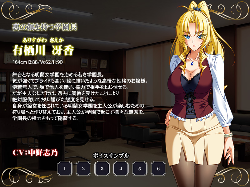 超狂指導日誌 ～学園統制録～人物资料界面和状态信息展示